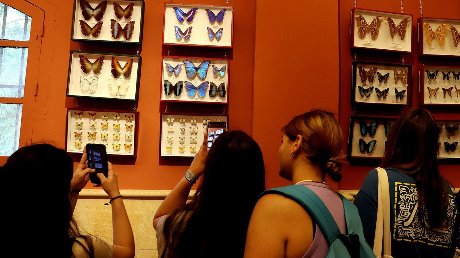 Una imagen de la exposición. Una imagen de la exposición.