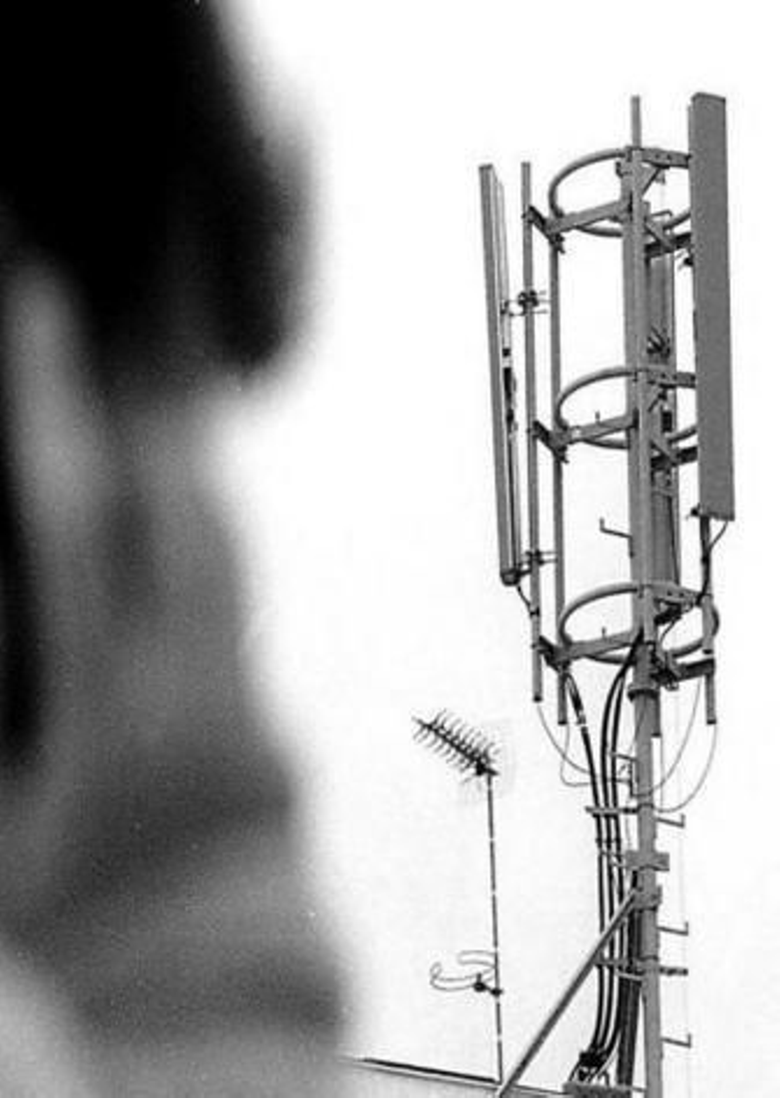 Un joven habla con el móvil en Jerez ante una antena de telefonía.