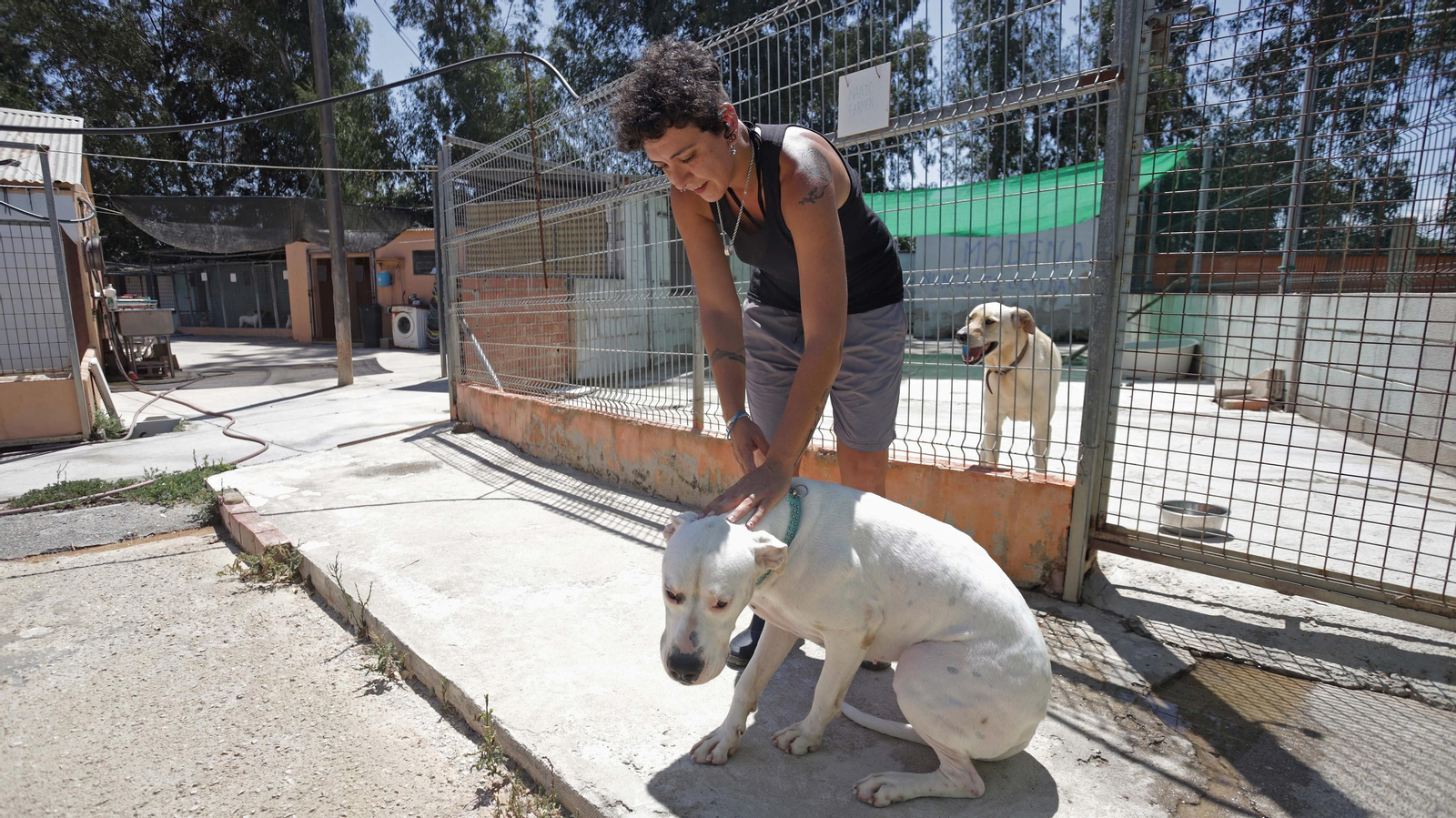 Fotos de la Protectora de Animales y Plantas de Algeciras