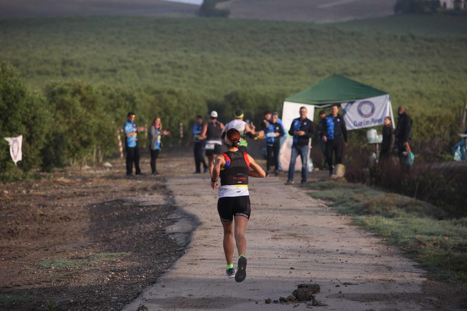 Imágenes de la V Sherry Maratón de Jerez