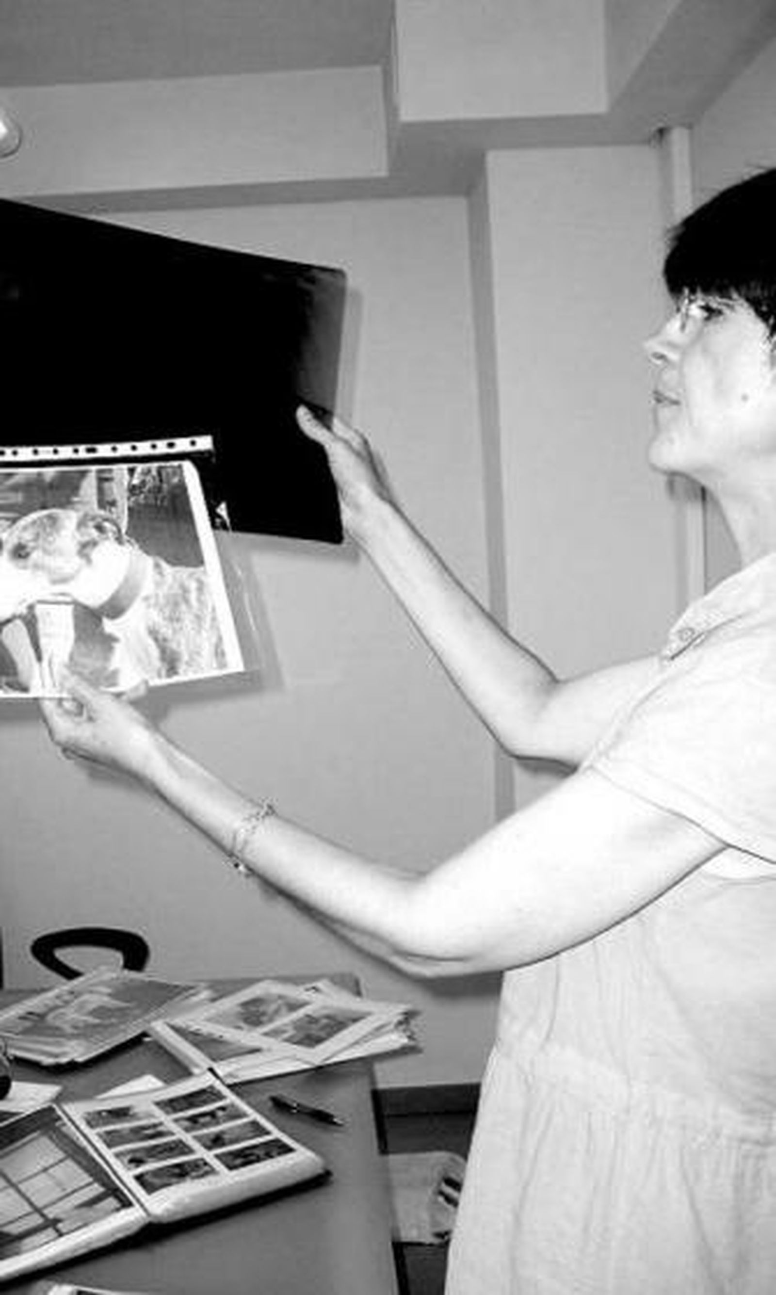 El galgo Turbo consiguió tener una familia.