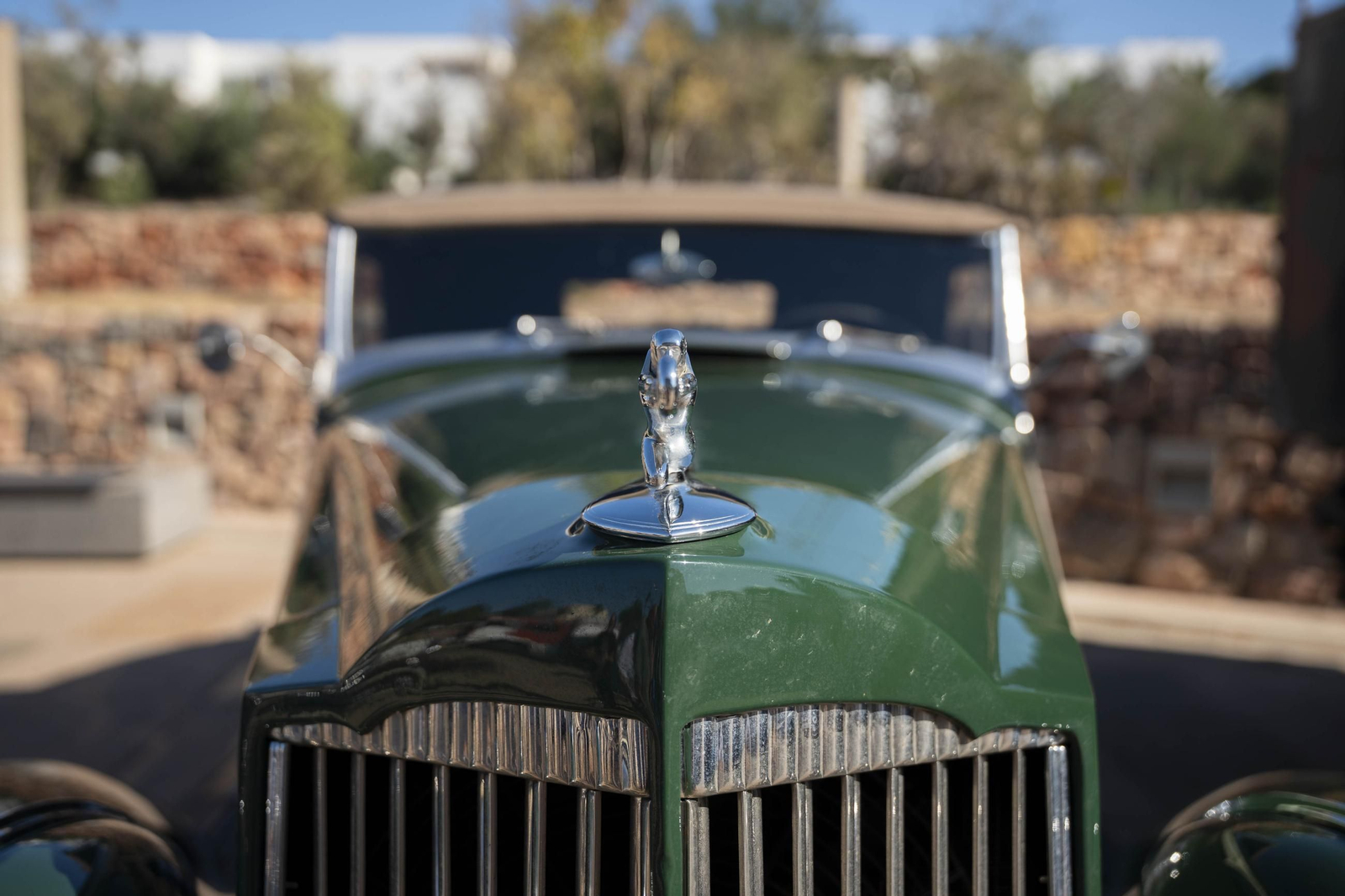 El encuentro Vecinal en el Palacio de Exposiciones y Congresos ‘Cabo de Gata – Ciudad de Almería’ de El Toyo, en imágenes