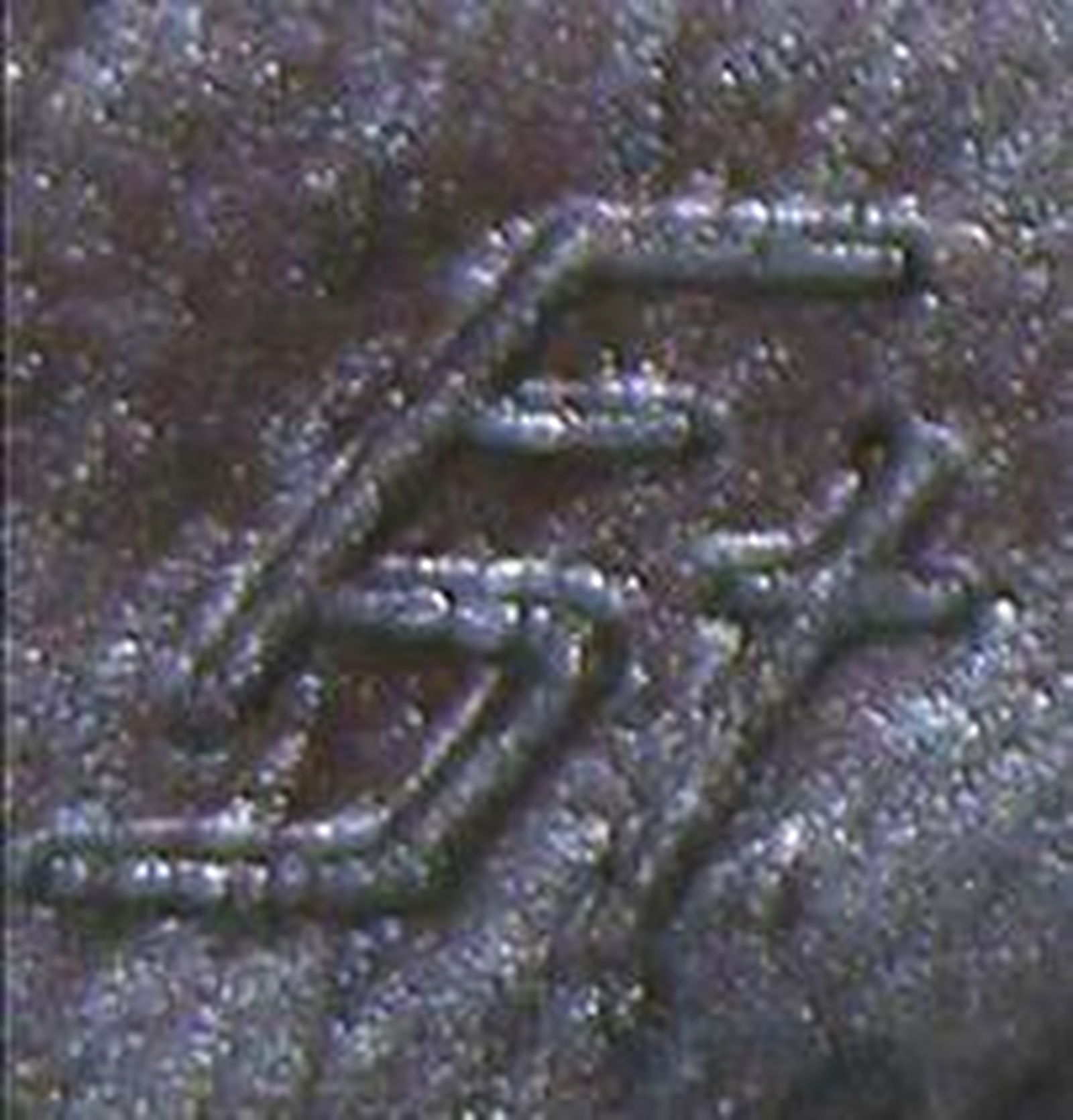 Firma del escultor, Friedrich (Fritz) Steiger.