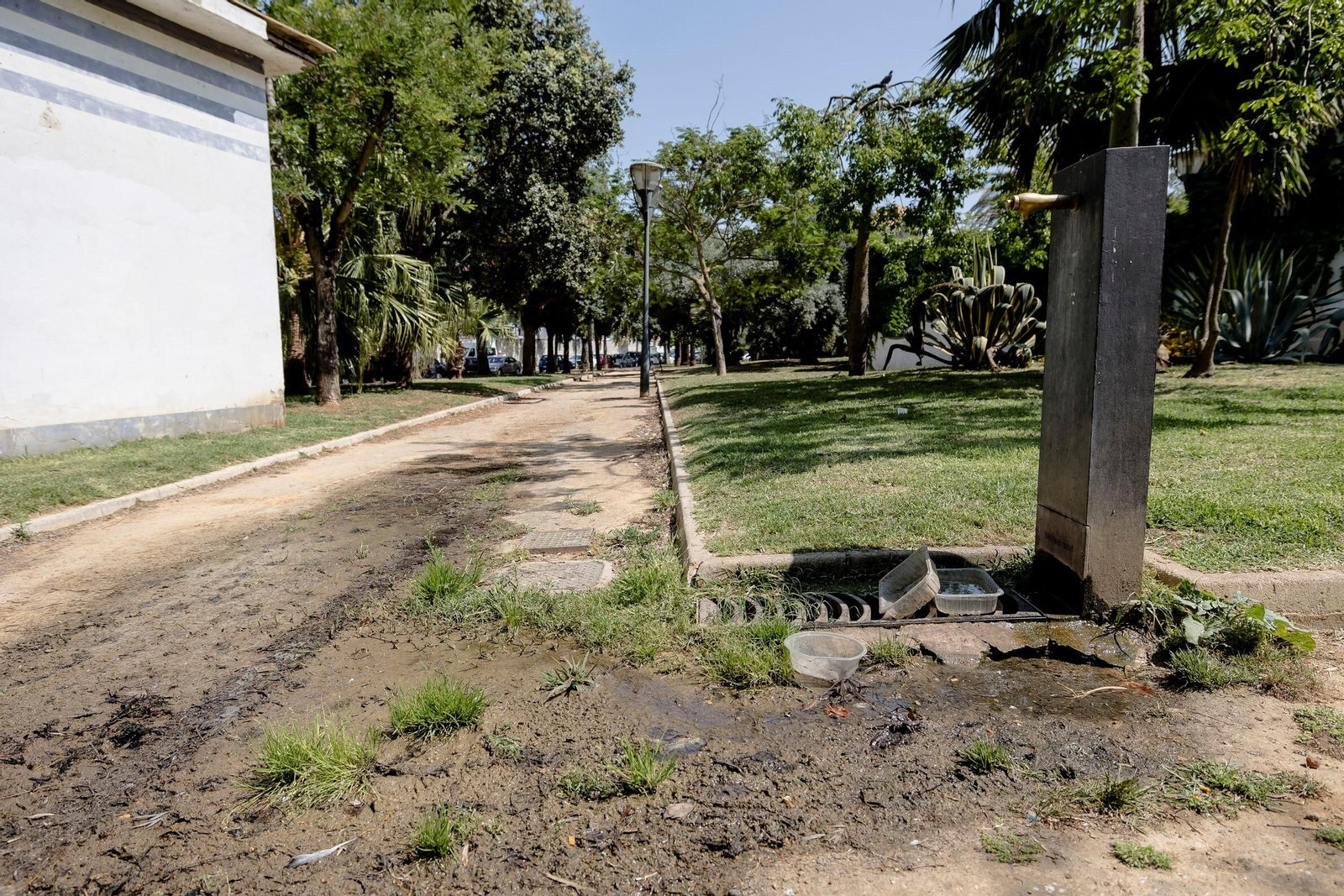 Las zonas verdes menos verdes de la ciudad de Cádiz