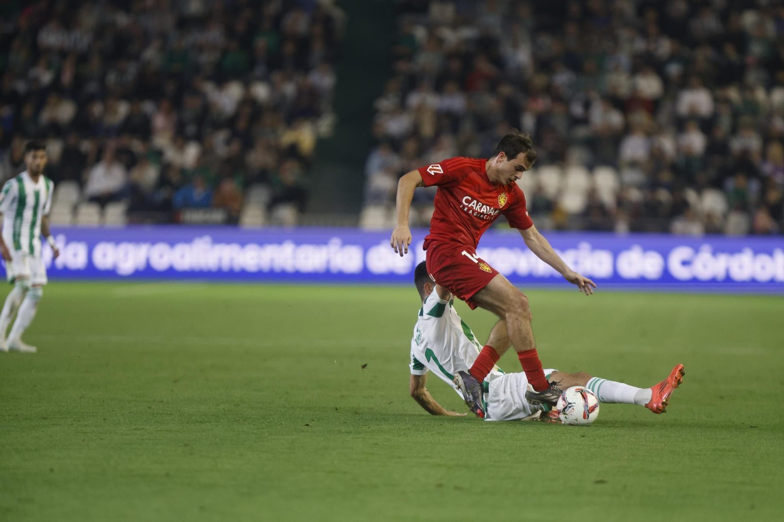 Las mejores fotos del ambiente en el Córdoba CF - Zaragoza en El Arcángel