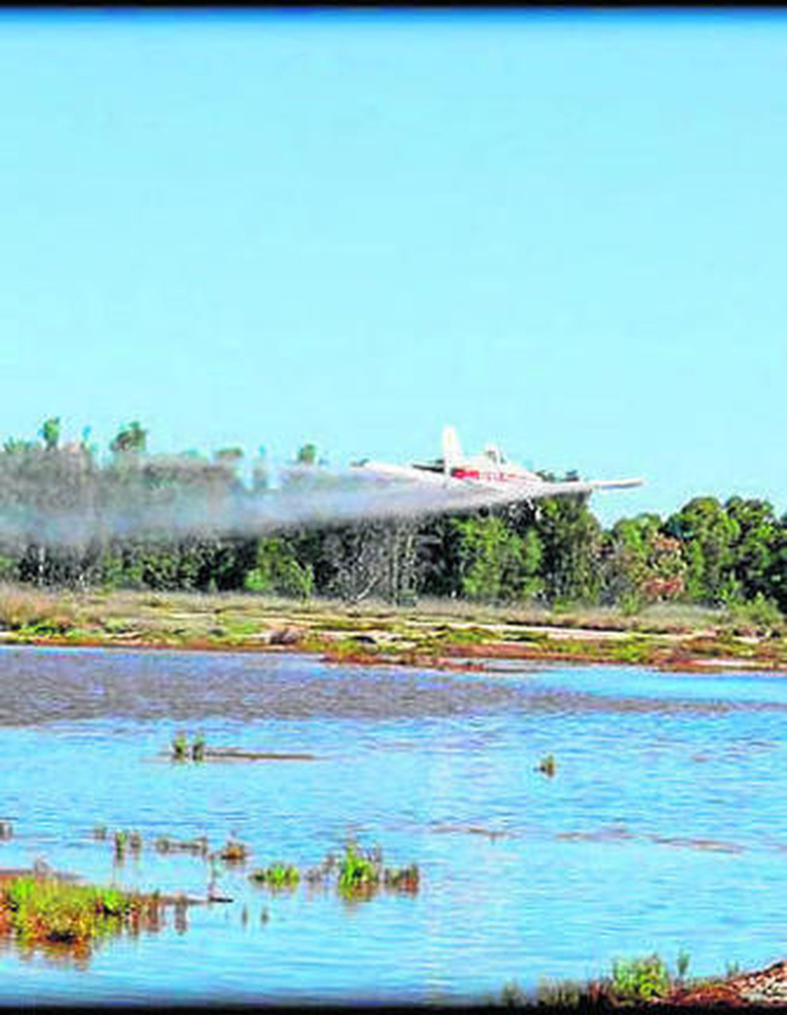 Labores de fumigación.