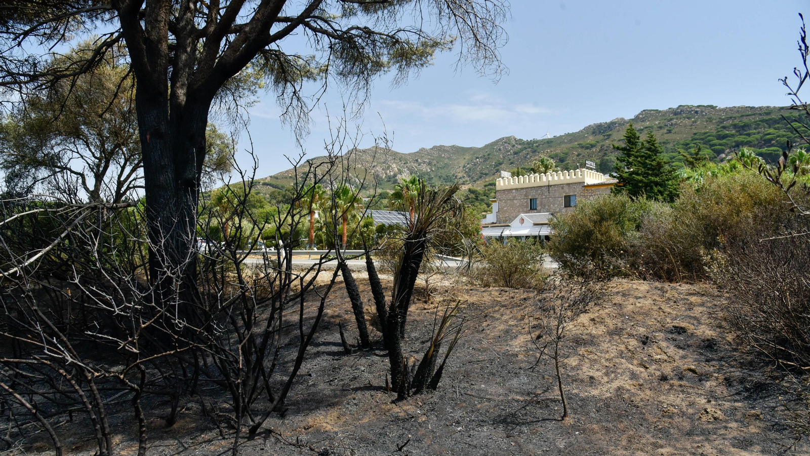 Fotos del incendio de Valdevaqueros que arrasó con 11 hectáreas de Parque Natural del Estrecho Las fotos de la zona afectada por el incendio de Valdevaqueros
