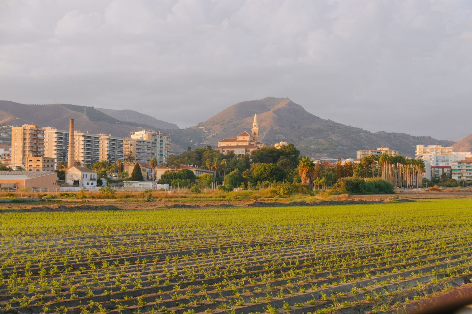 Una inversión superior a 25 millones permitirán el desarrollo de una treintena de proyectos en Motril