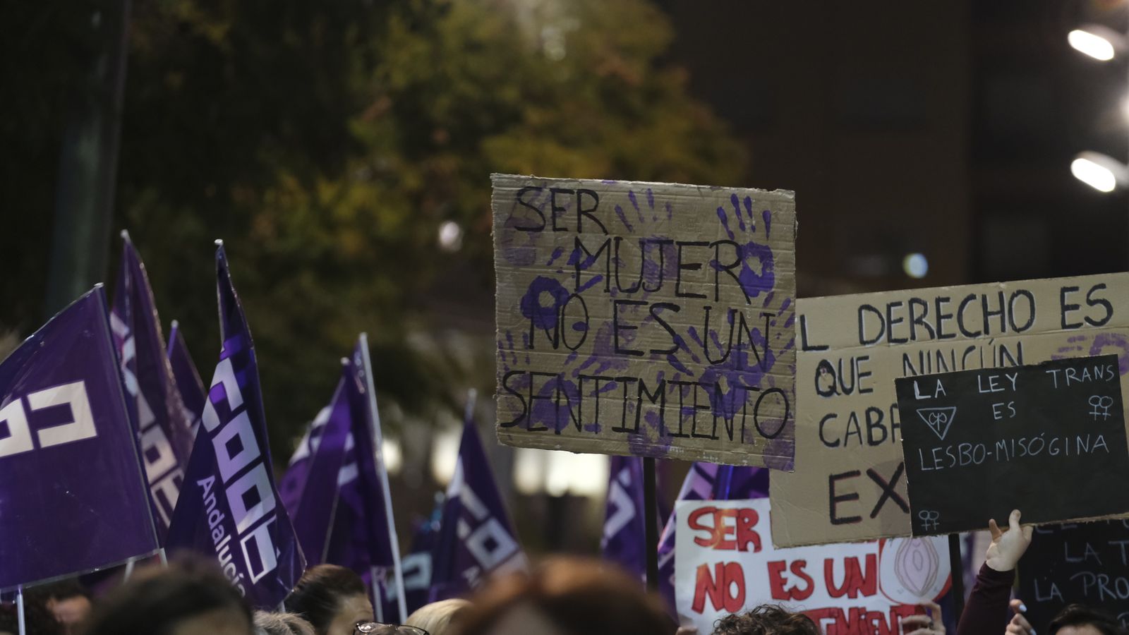 Imágenes de las manifestaciones por el Día de la Mujer en Almería