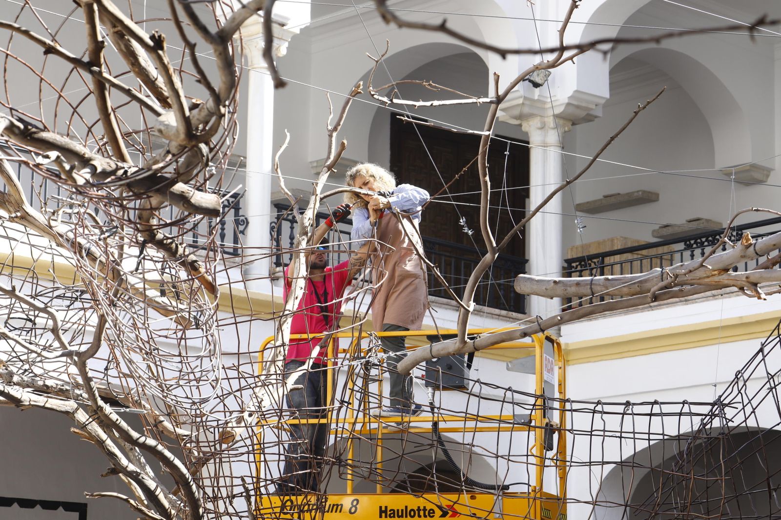 El montaje del Festival Flora, en imágenes