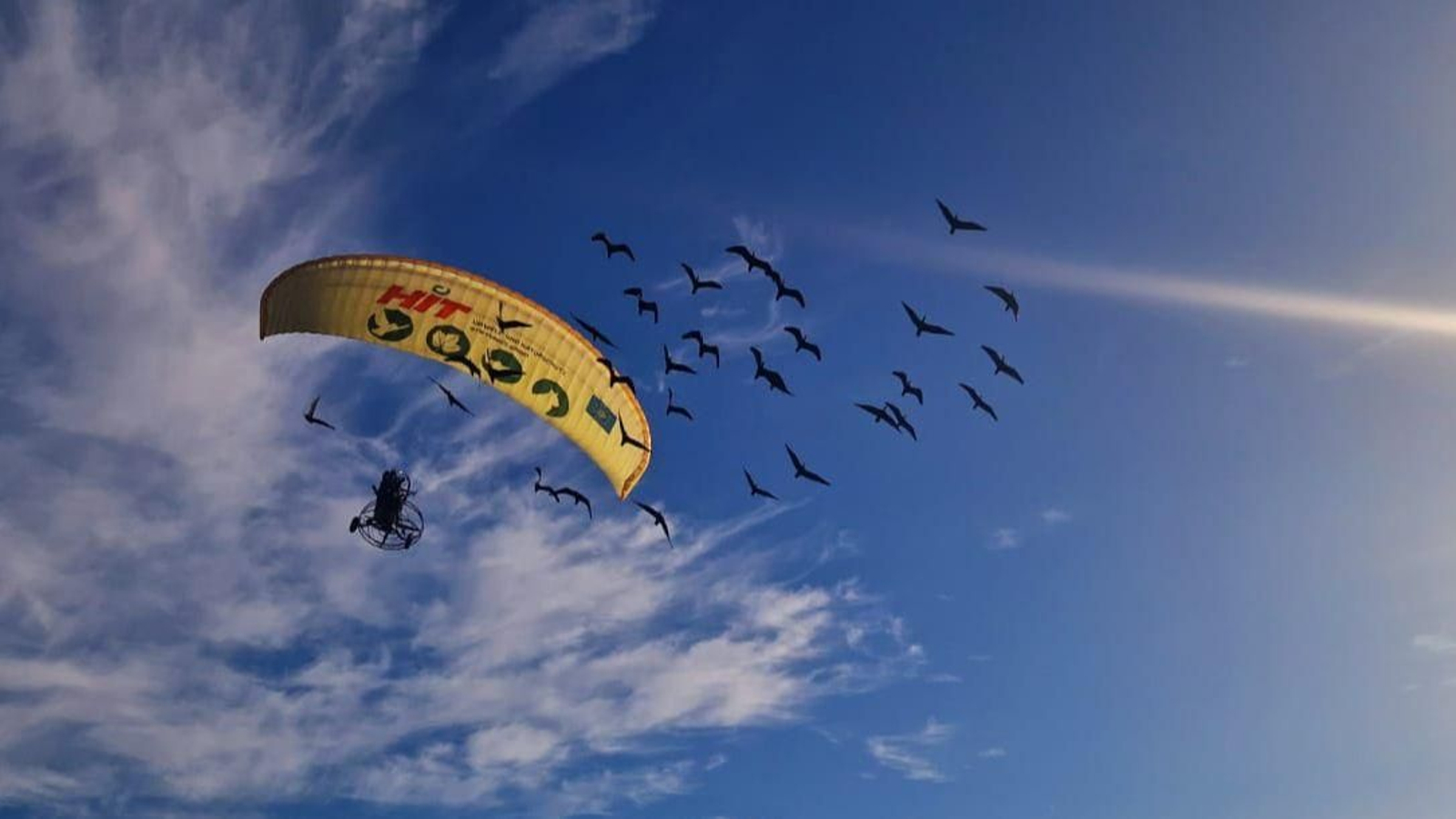 El ultraligero que acompaña a los ibis eremitas.