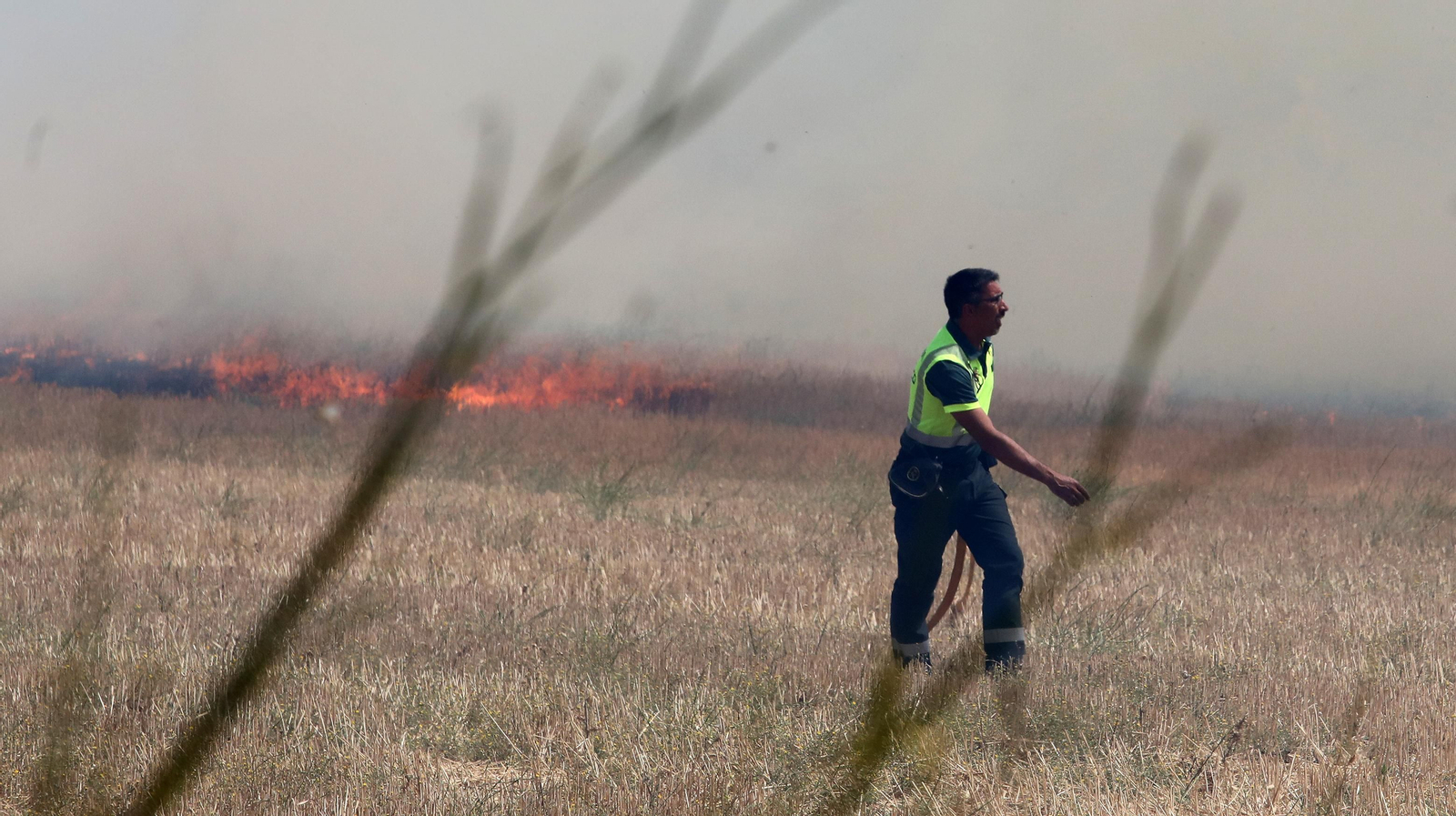 Grave incendio en la campiña de Jerez