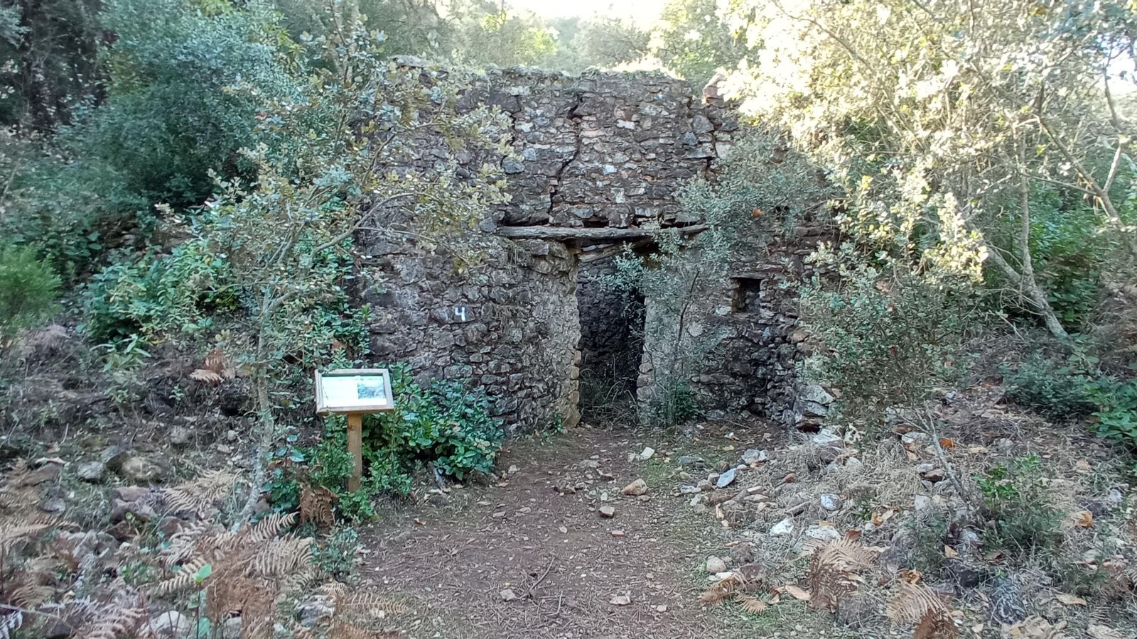 Horno de Miguel de Paco