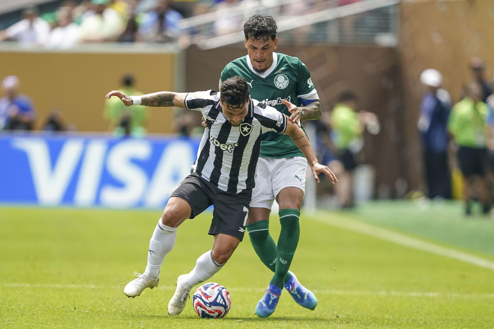 Palmeiras-Botafogo (9).jpg