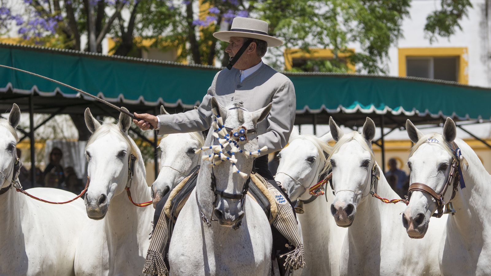 Yeguada Cartuja Hierro del Bocado.