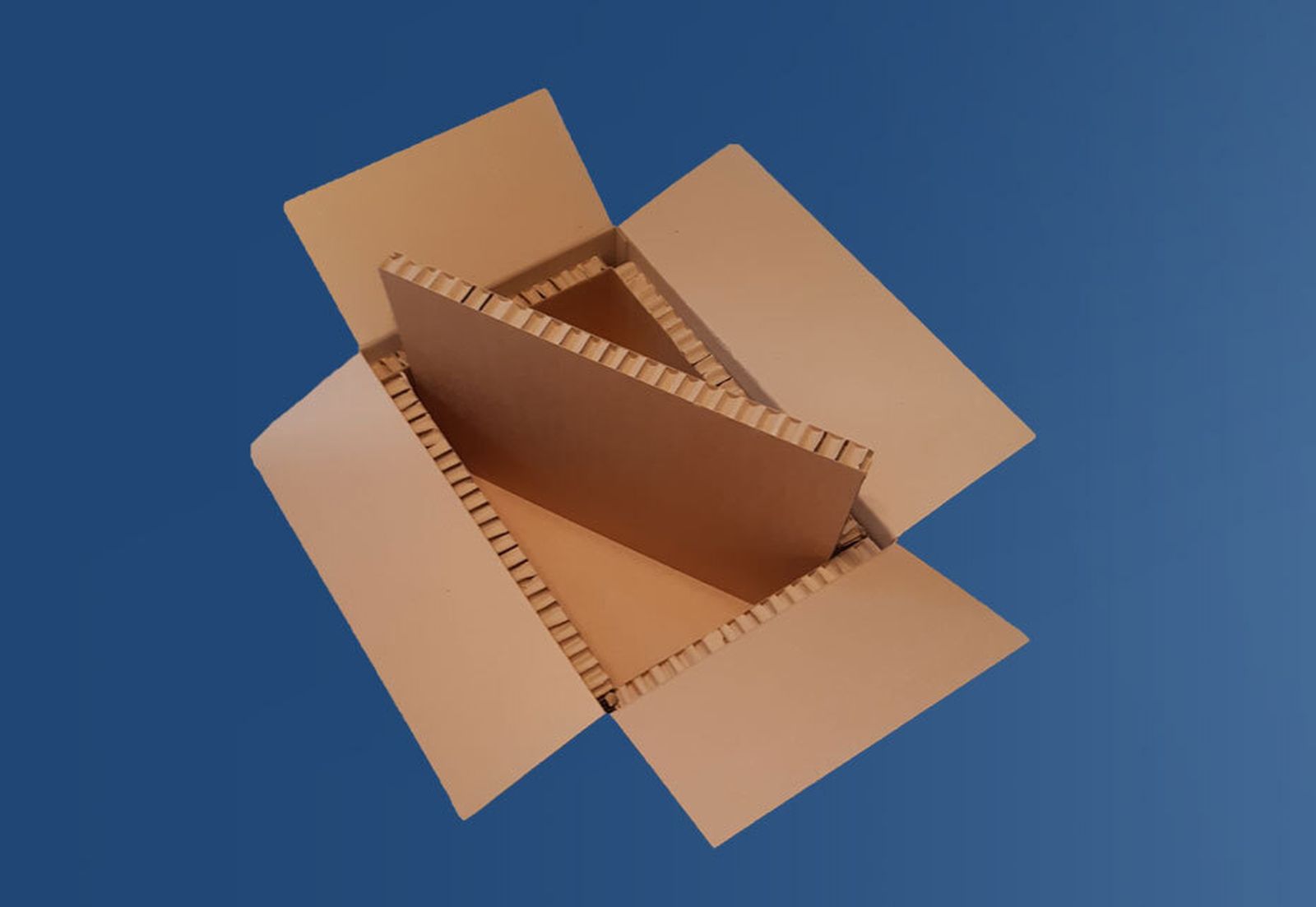 Thermo Box de Smurfit Kappa