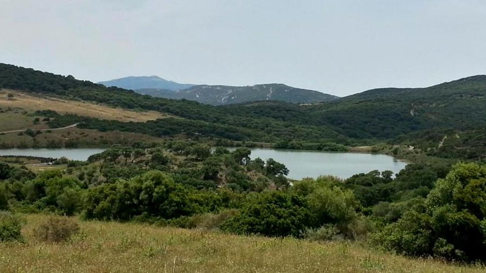 Vista de la dehesa de Zanona, en Los Barrios.