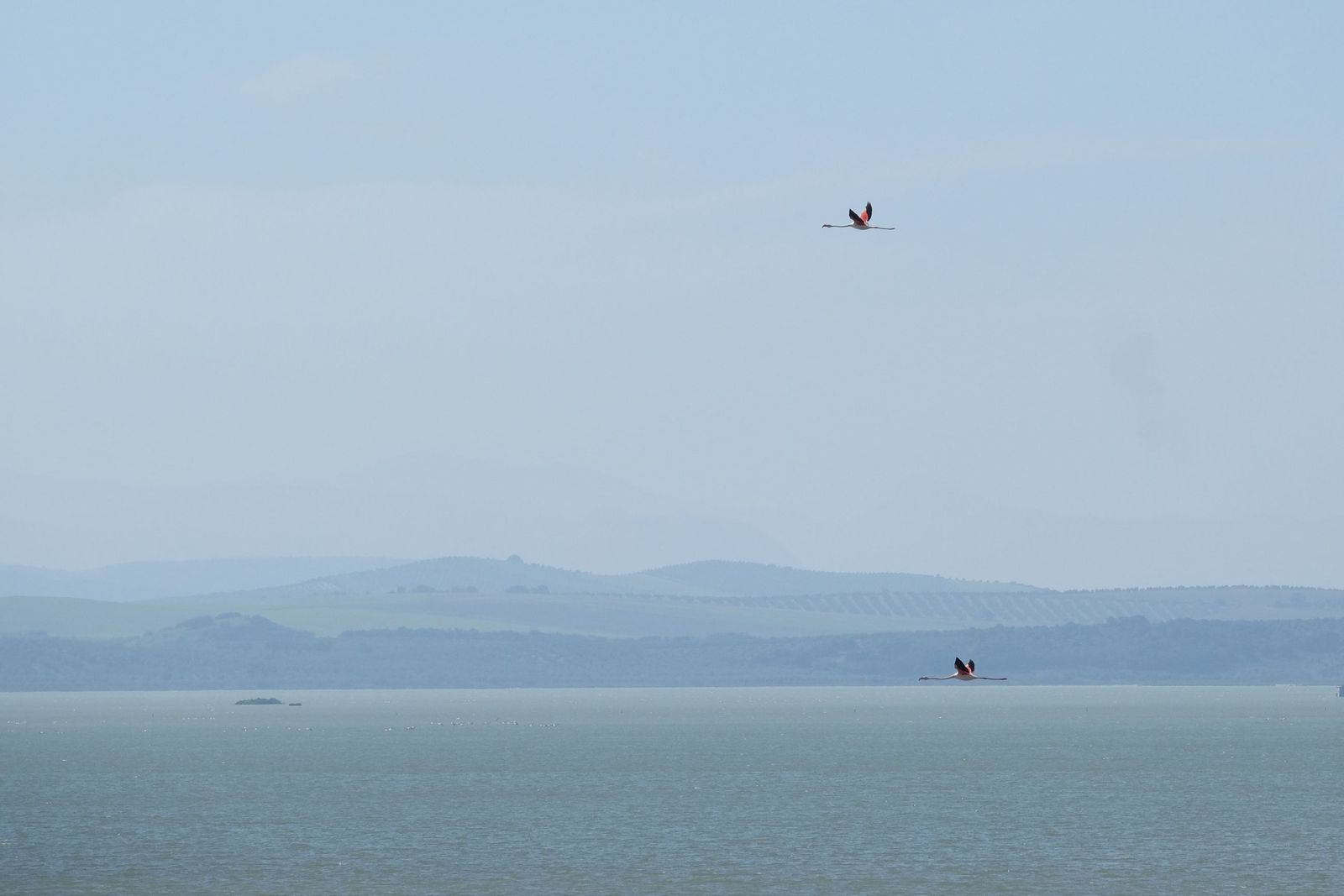 Las lluvias transforman el paisaje en el interior de Málaga, en imágenes