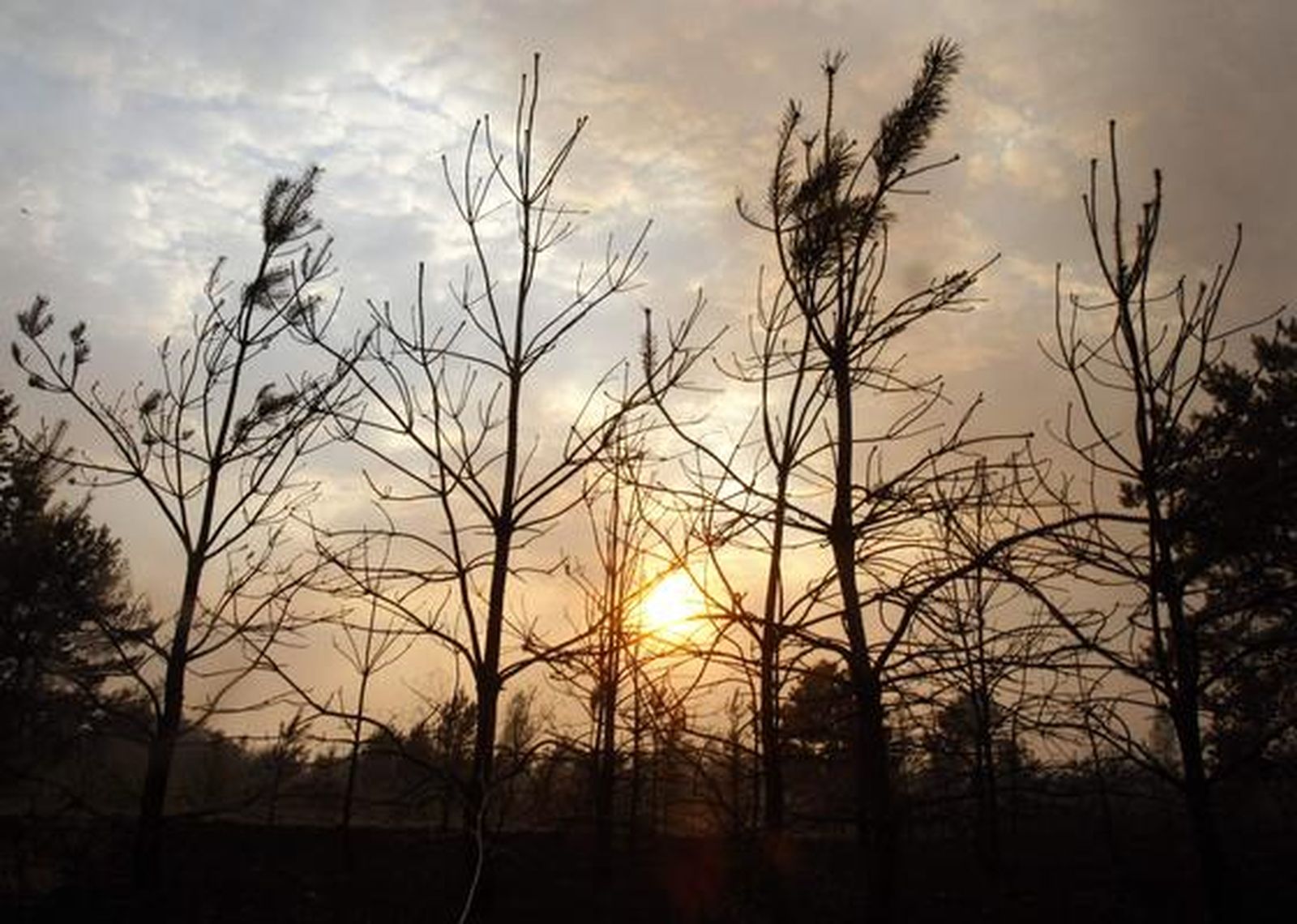 Siete regiones rusas están en estado de emergencia por los fuegos forestales. / Reuters