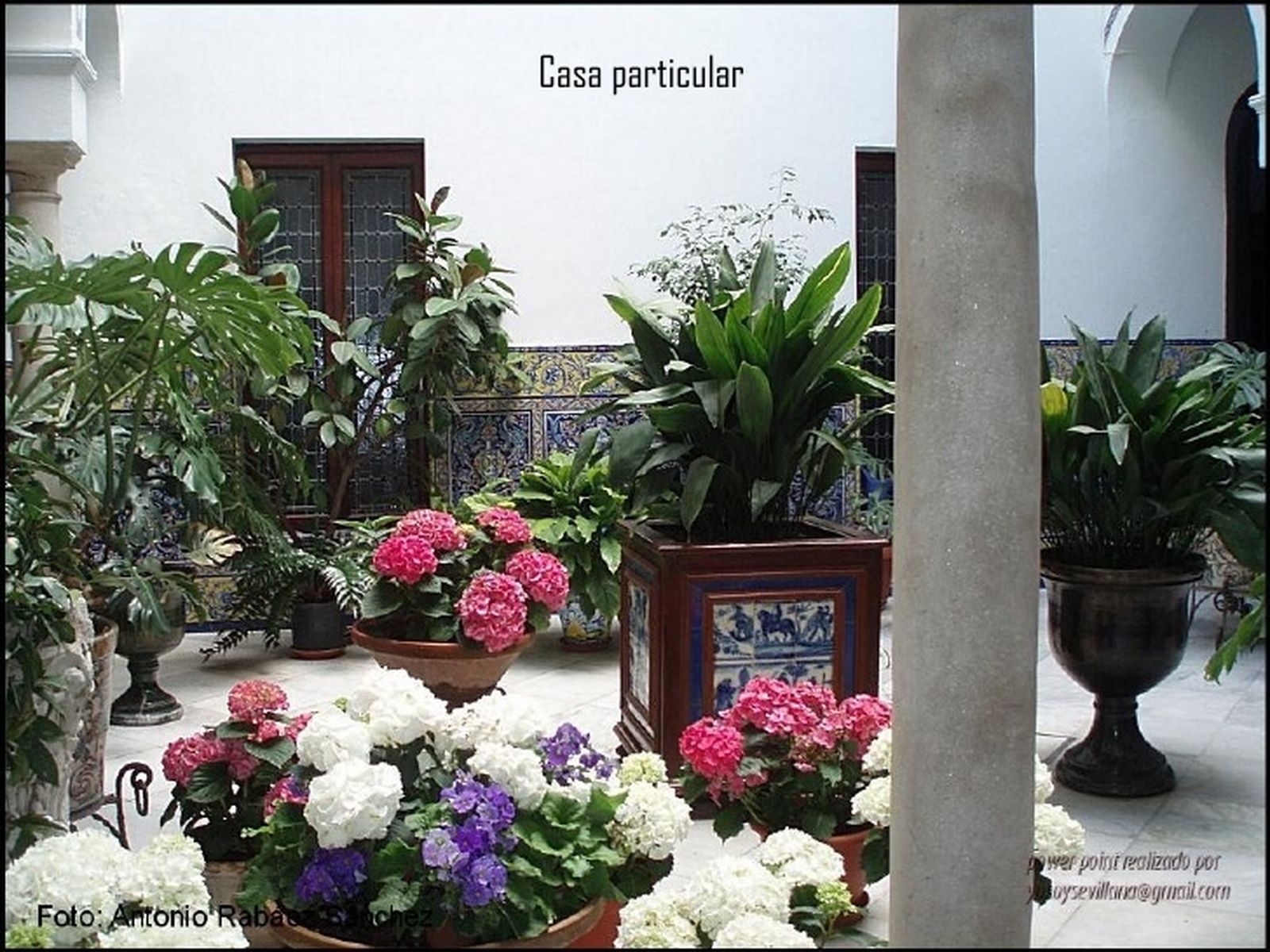 Patio típico sevillano.