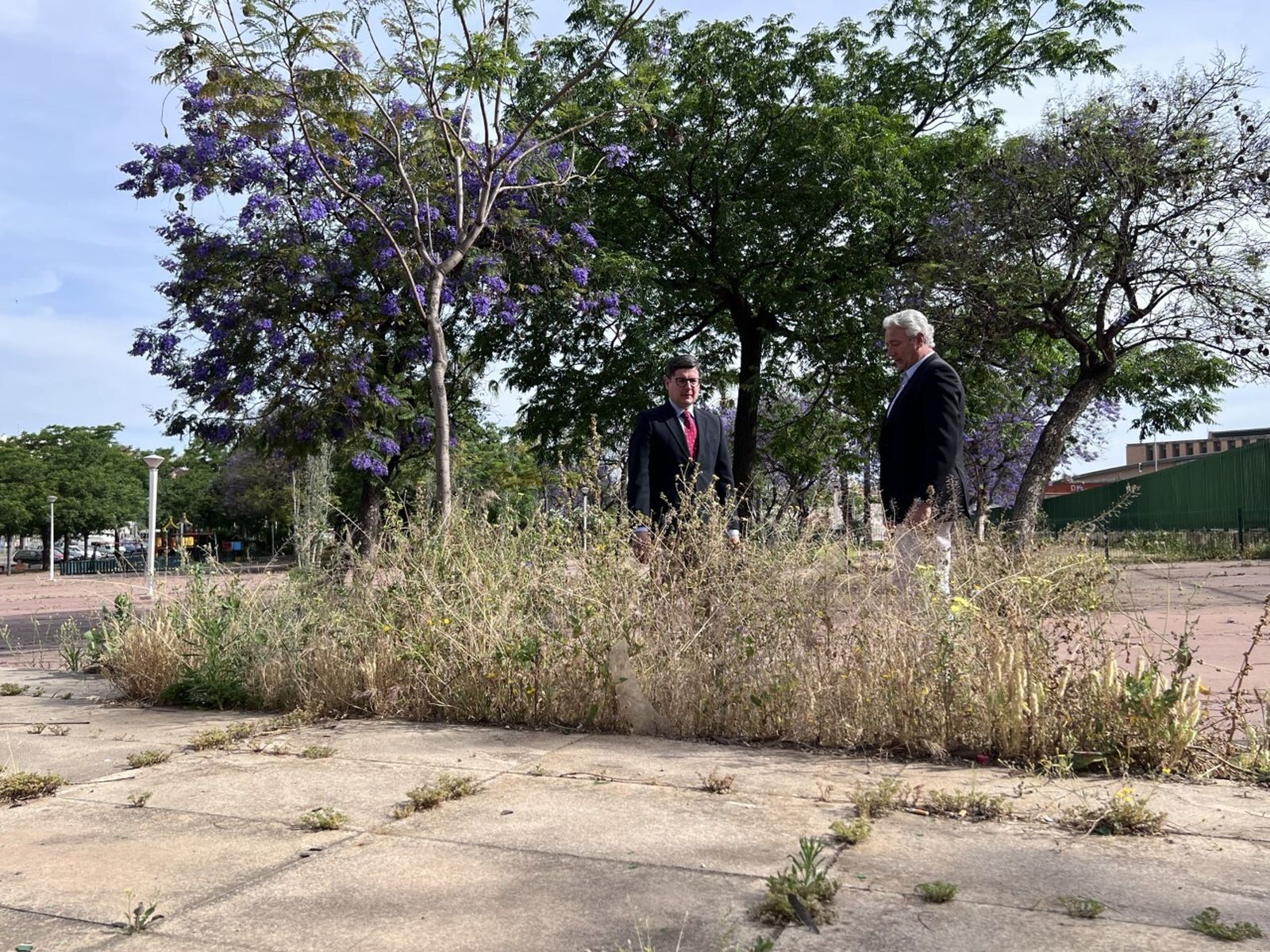 Álvaro Pimentel, junto a una de las malezas que ha brotado en el entorno de Santa Justa.