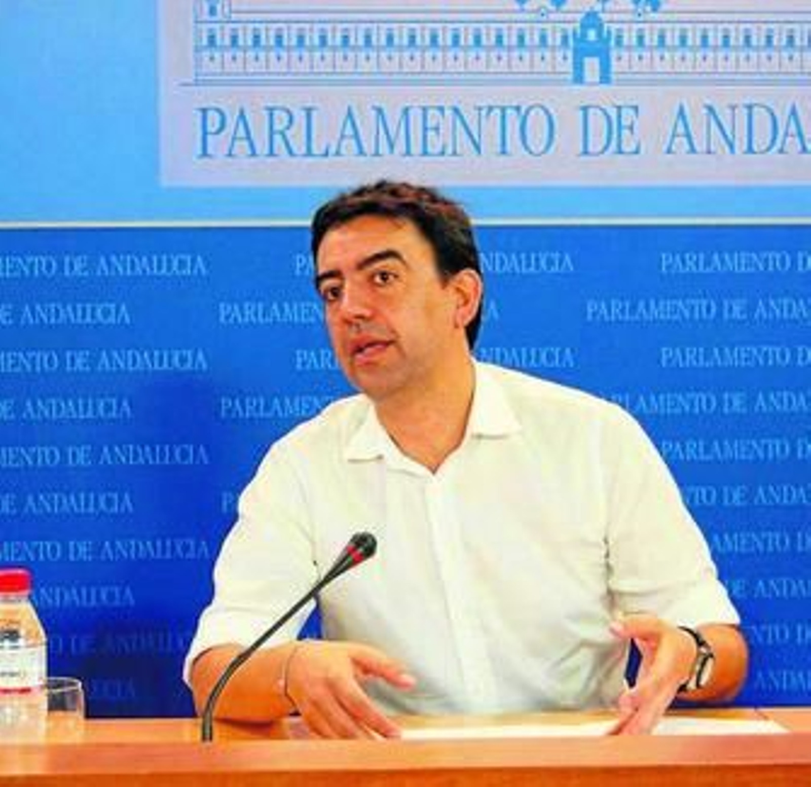 El portavoz del Grupo Socialista, Mario Jiménez.