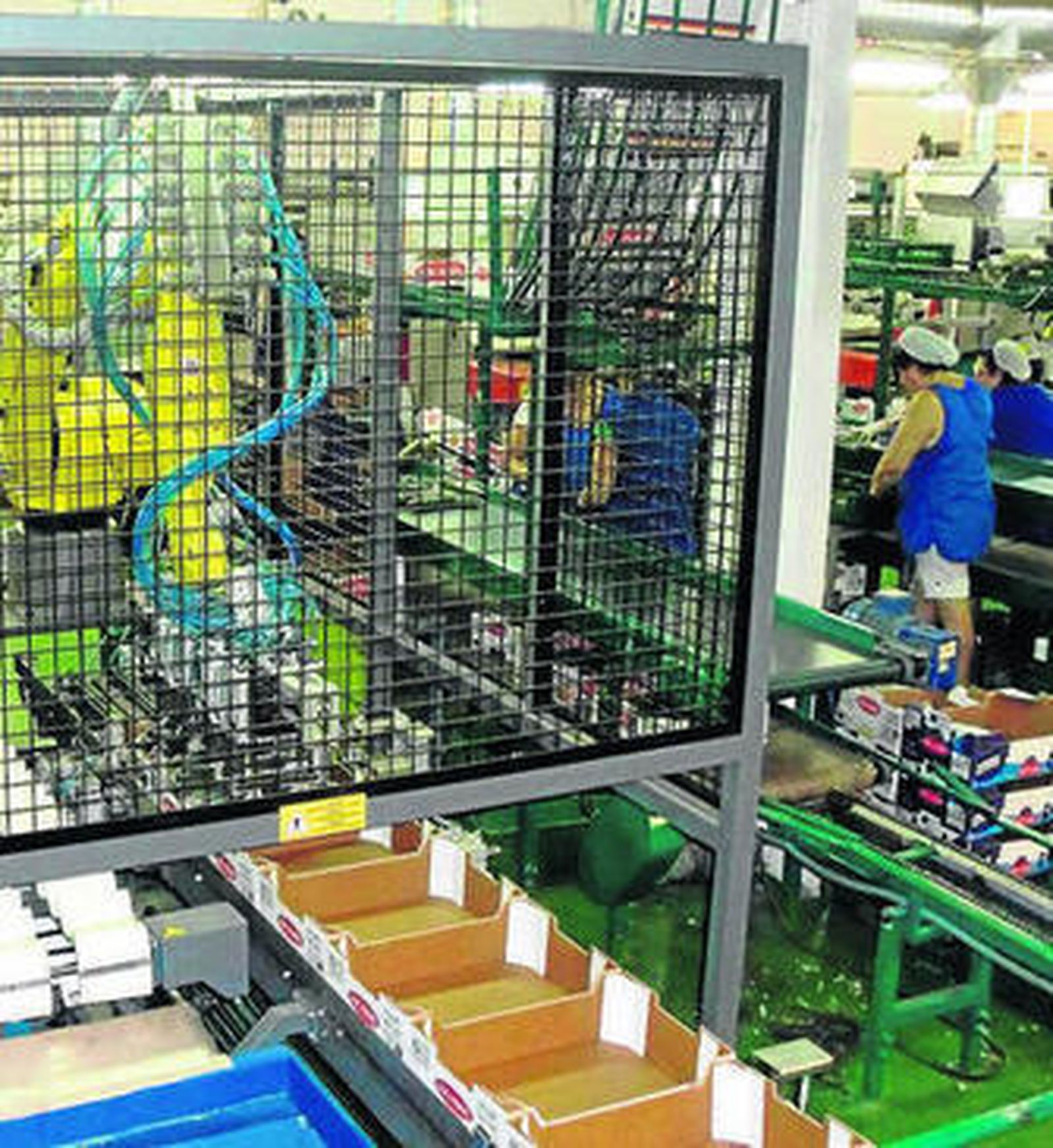 Robot de encajado de pepinos instalado en Vicasol.