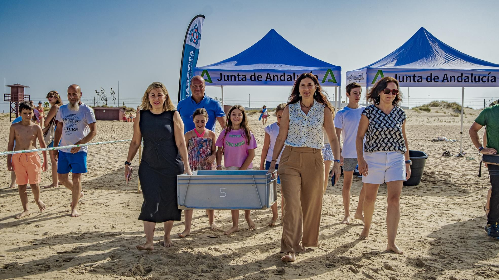 Las imágenes de la vuelta al mar de tres tortugas marinas en la playa de Cortadura, en Cádiz.