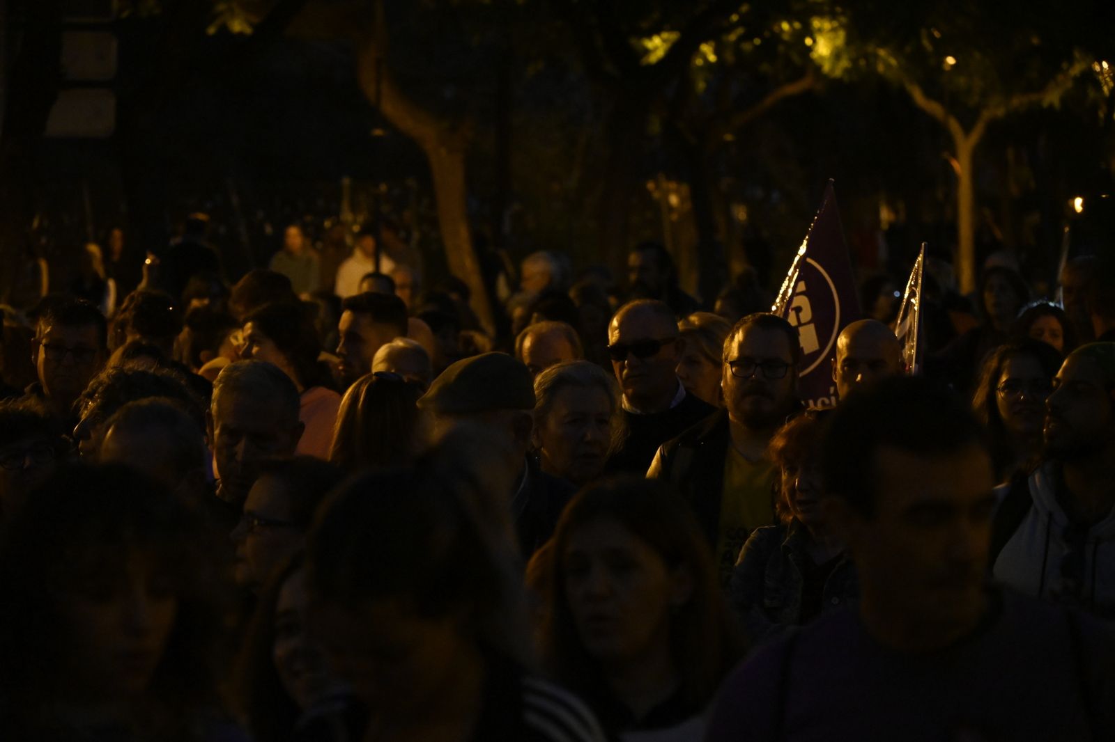 Manifestación del 25N en Imágenes.