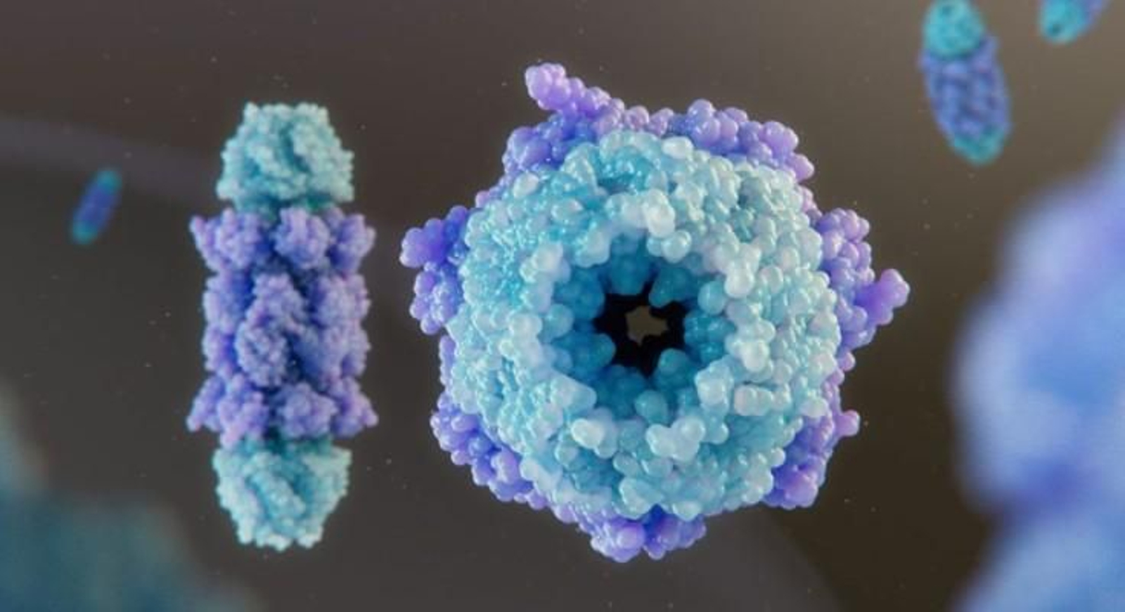 'Nature' elige a las diez personas que ayudaron a dar forma a la ciencia en 2025