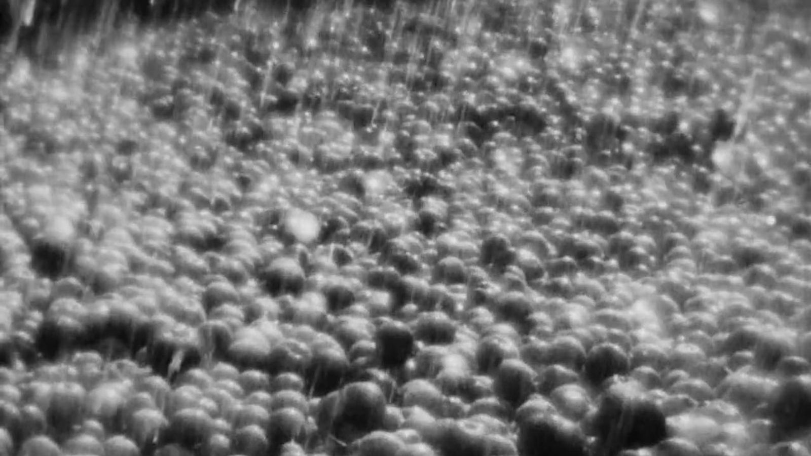 La belleza del ciclo de la vida al final de Zemlya.