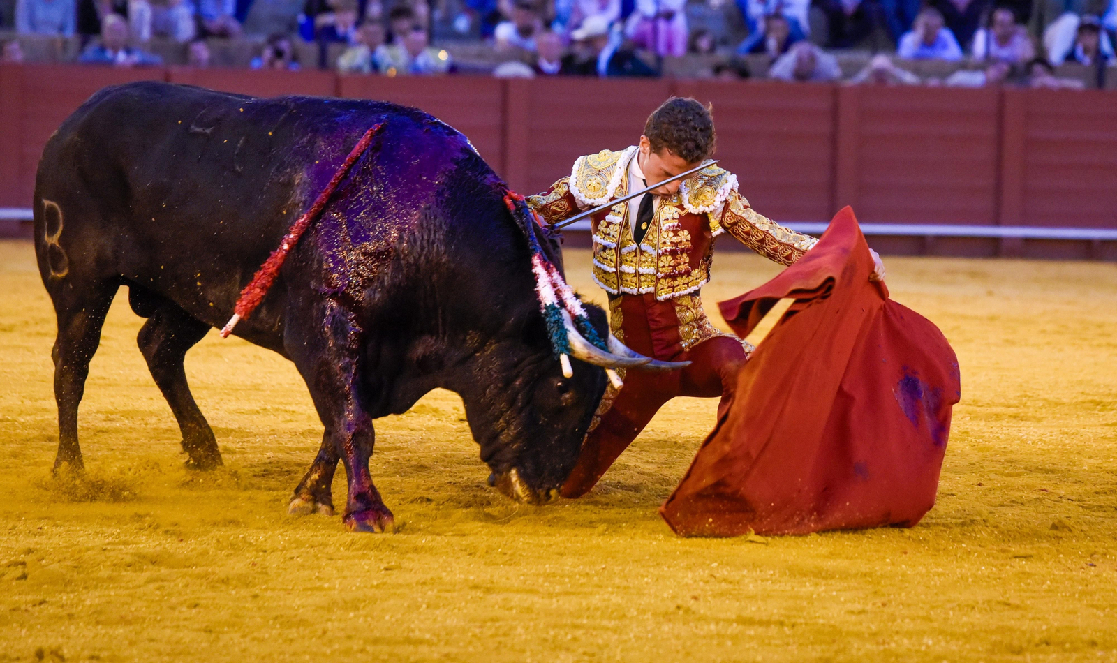 La segunda del abono de la Real Maestranza, en imágenes