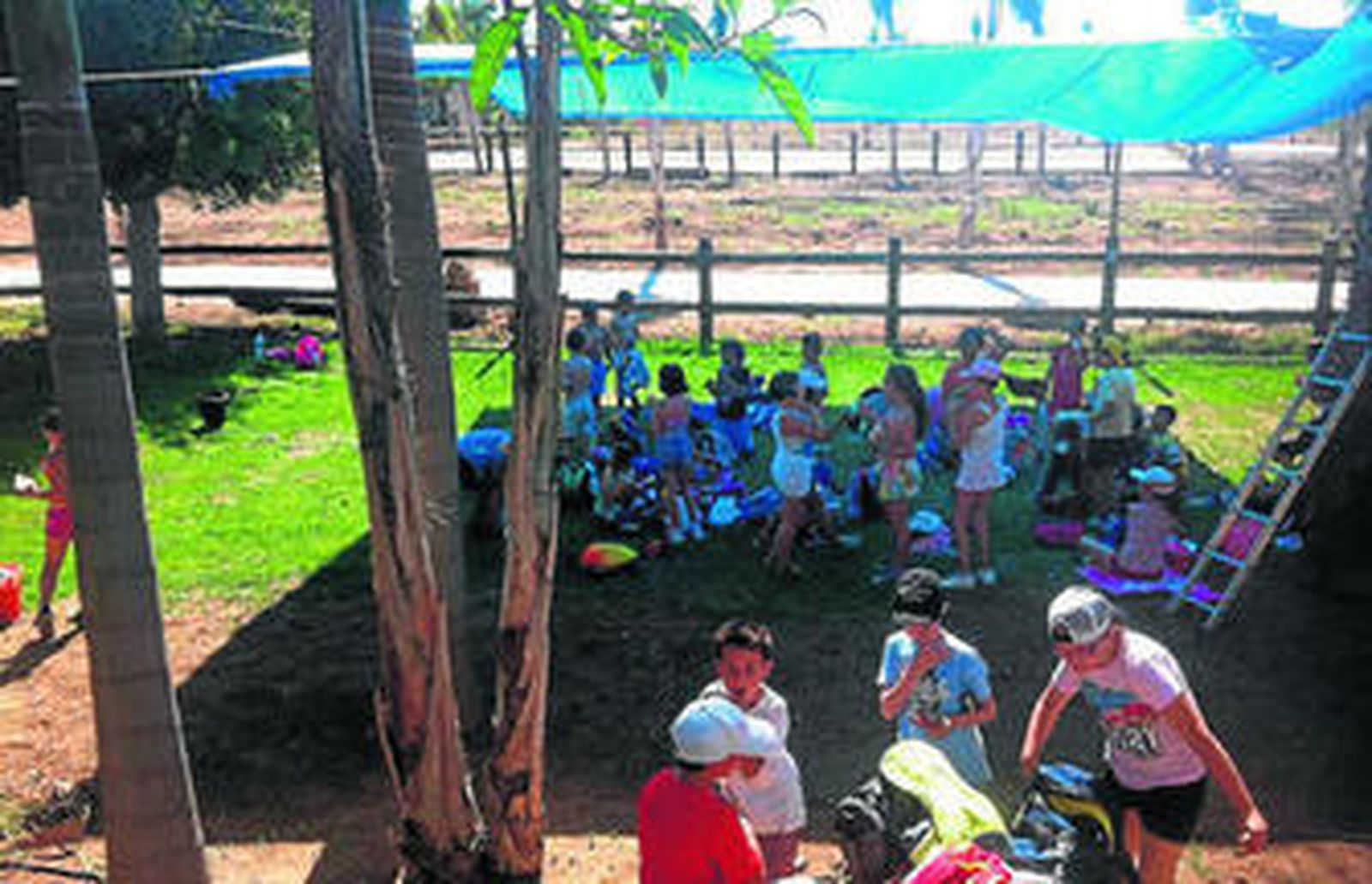Una granja sin barreras
