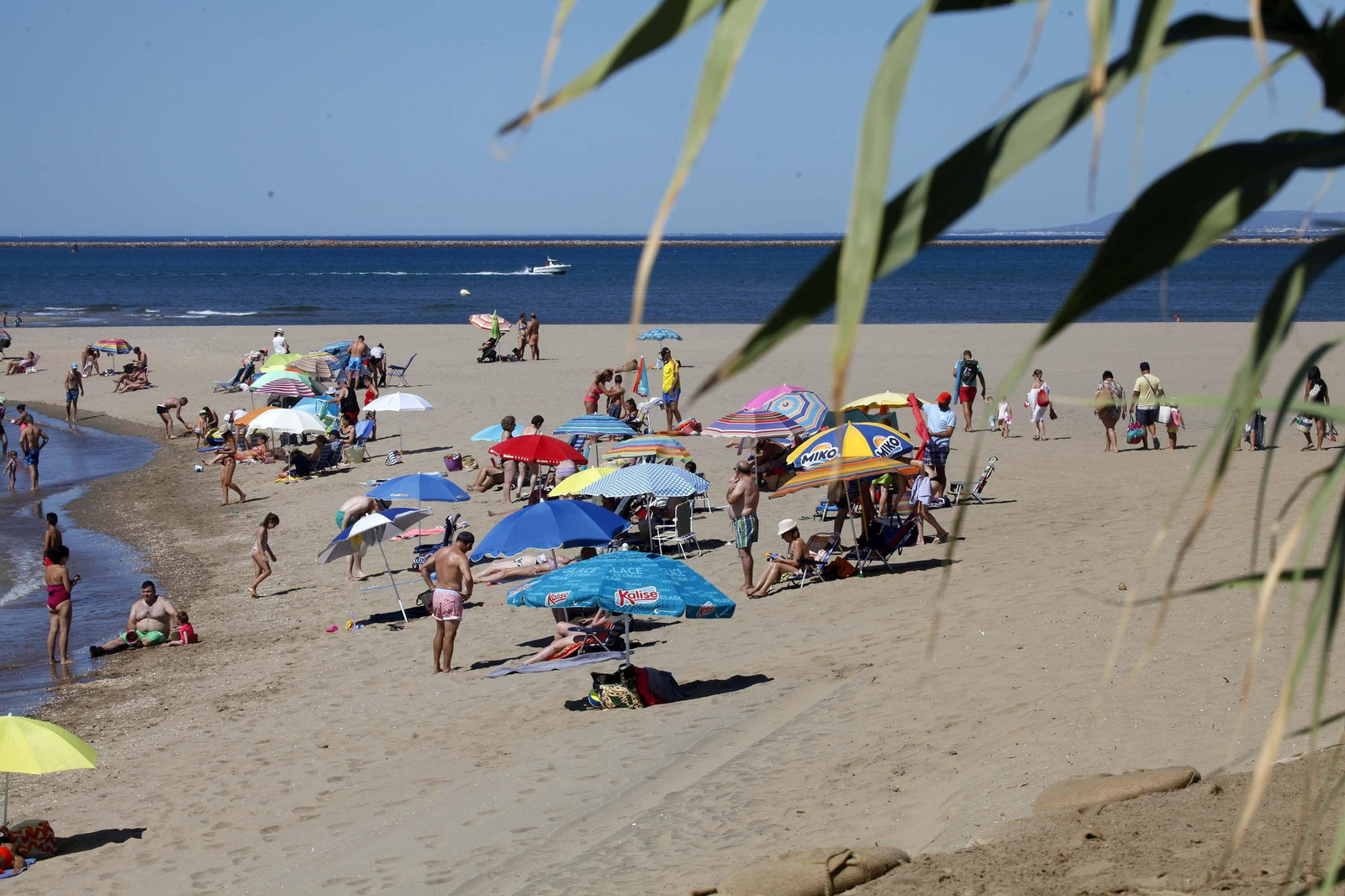 Isla Canela (Ayamonte)