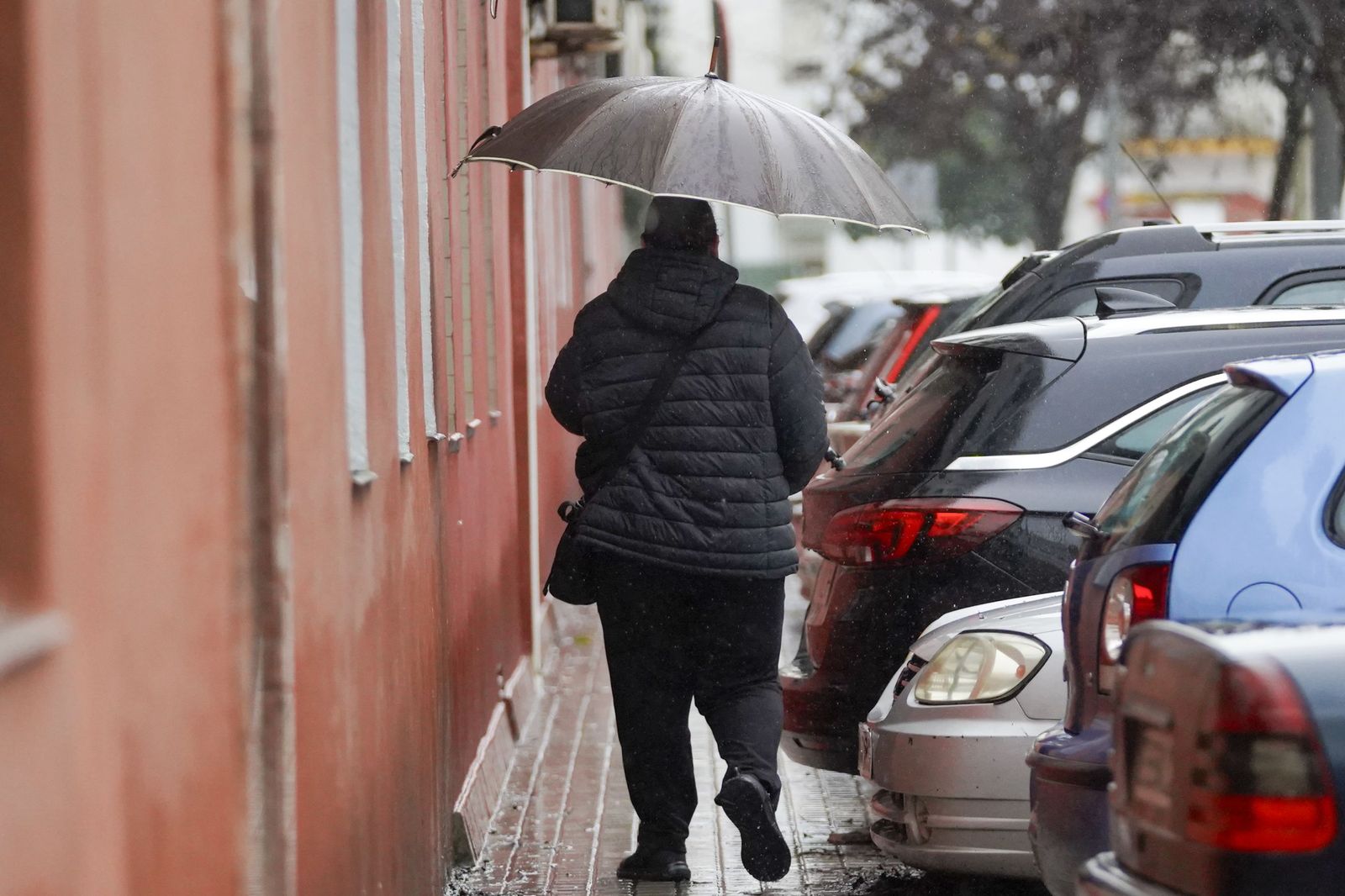La intensa lluvia del miércoles 4 de Febrero, todas las fotos