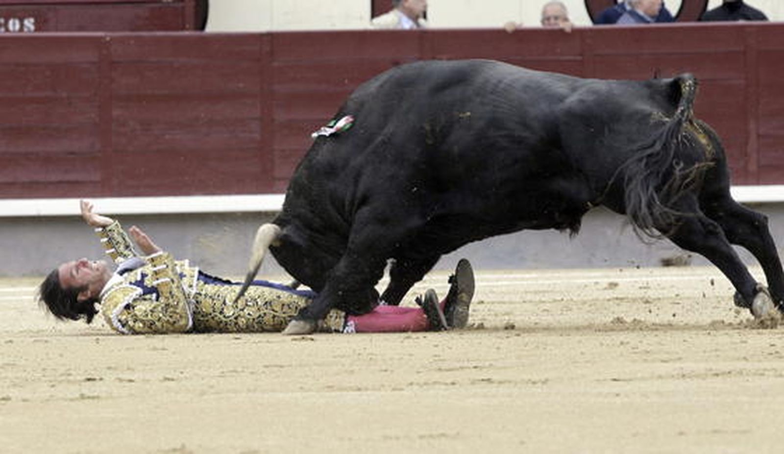Insólita suspensión de la corrida en Las Ventas por cogida de los tres diestros