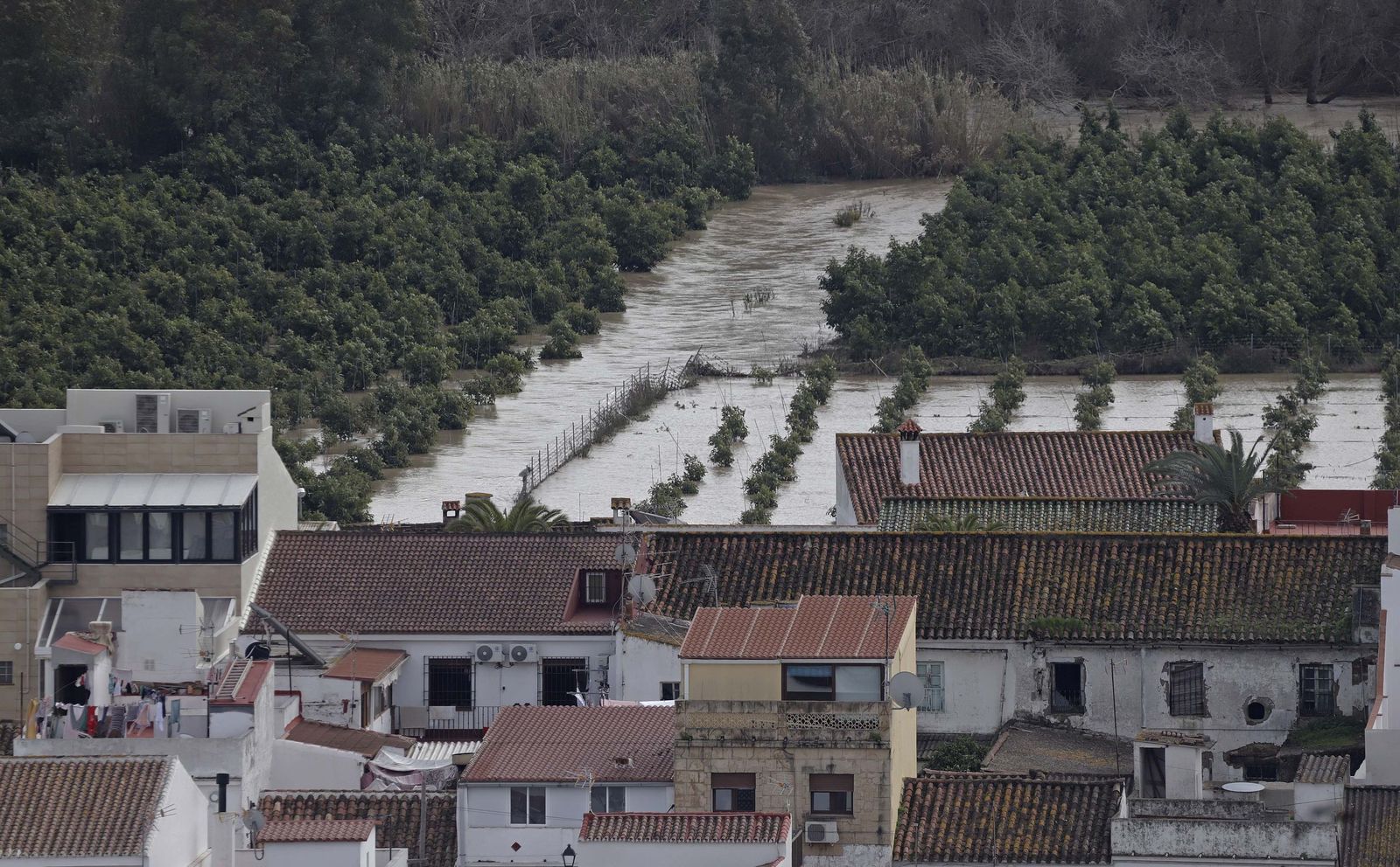 San Martín del Tesorillo después de la borrasca Marta, en imágenes