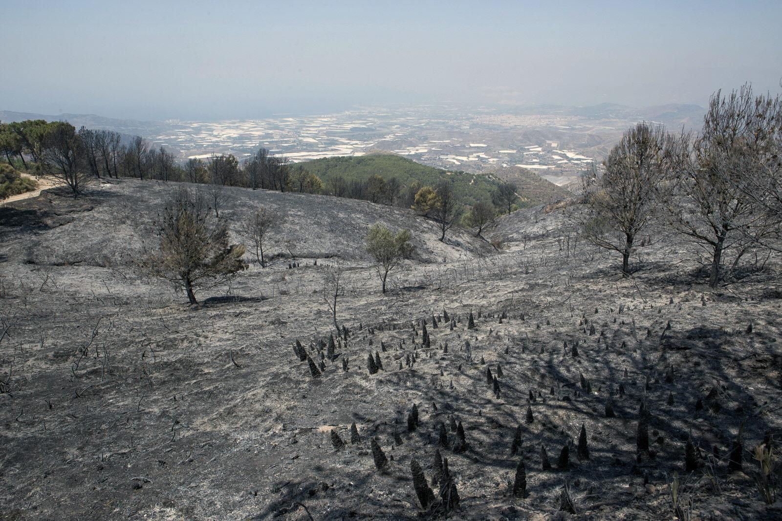 Imagen de archivo del incendio de 2015 en la Sierra de Lújar Imagen de archivo del incendio de 2015 en la Sierra de Lújar