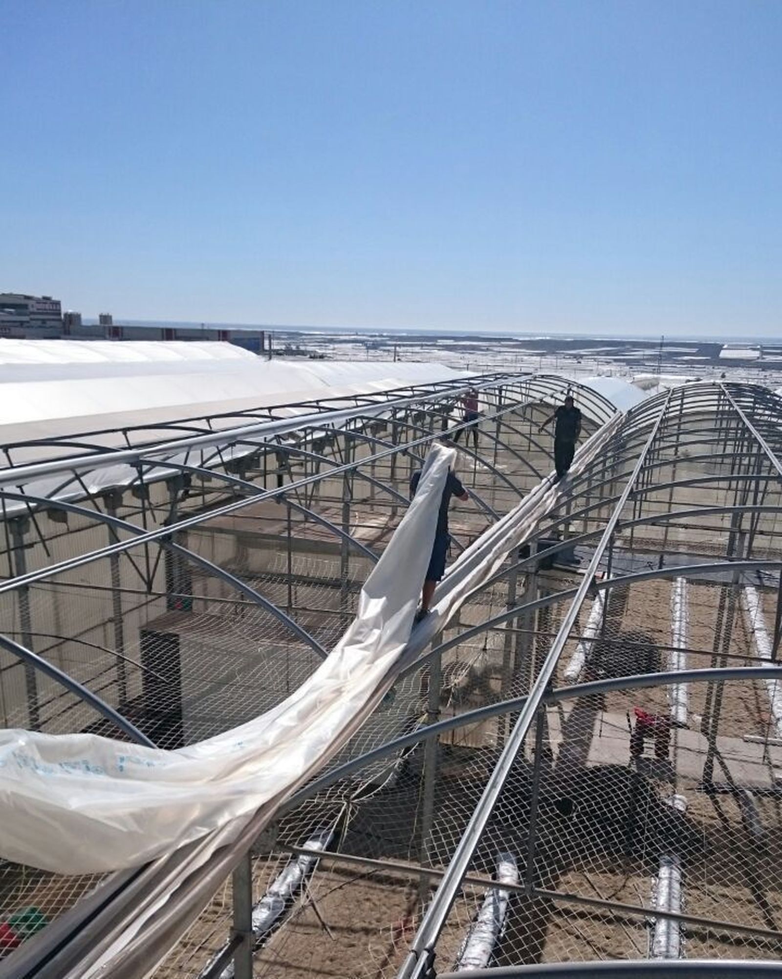 Construcción de invernaderos.