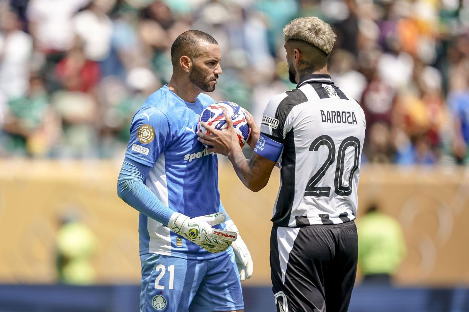 Palmeiras-Botafogo (37).jpg