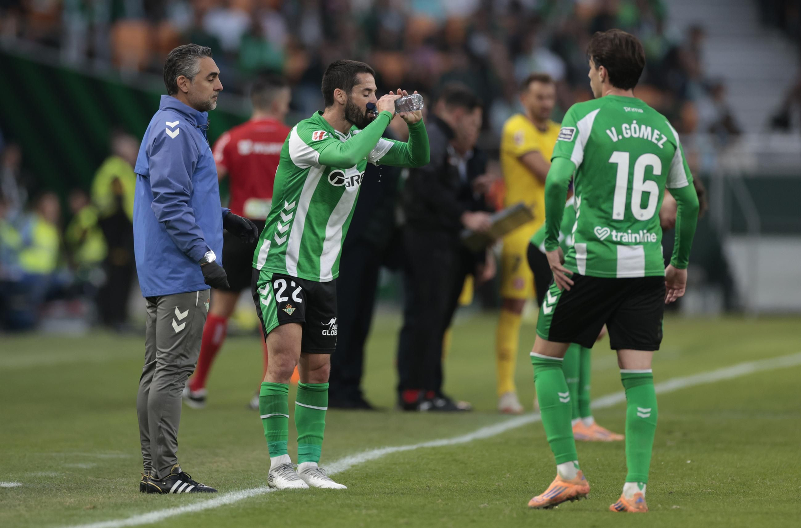 Las fotos del Betis - Girona