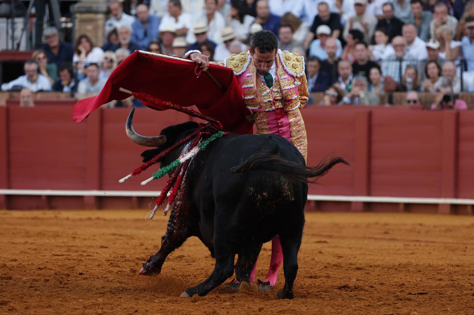 Las imágenes del primer festejo de San Miguel