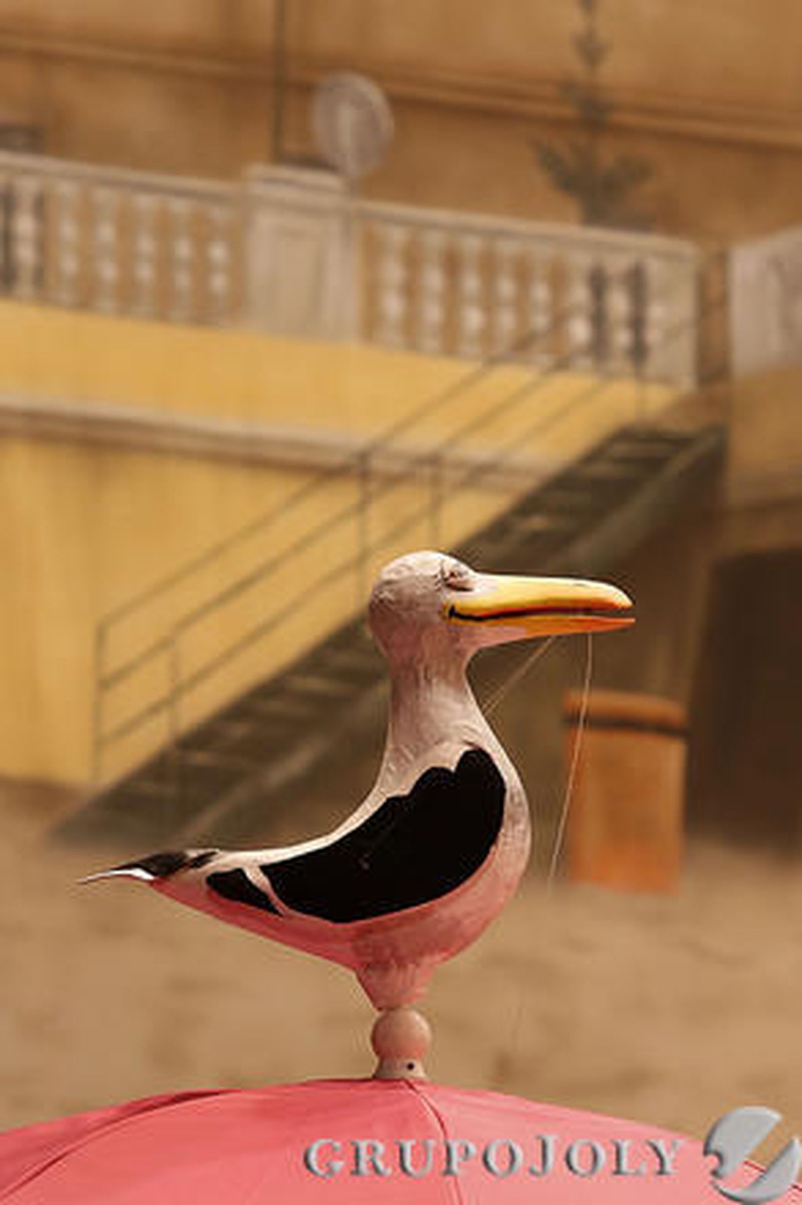 Foto: Lourdes de Vicente y Fito Carreto