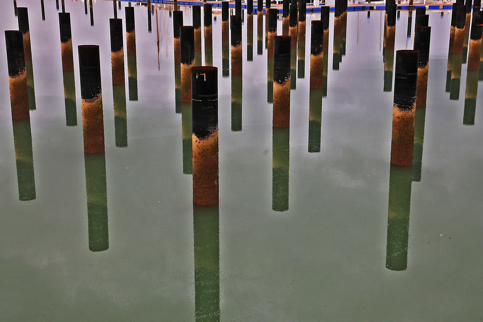 Las imágenes más destacadas del viernes 28 de febrero en Huelva