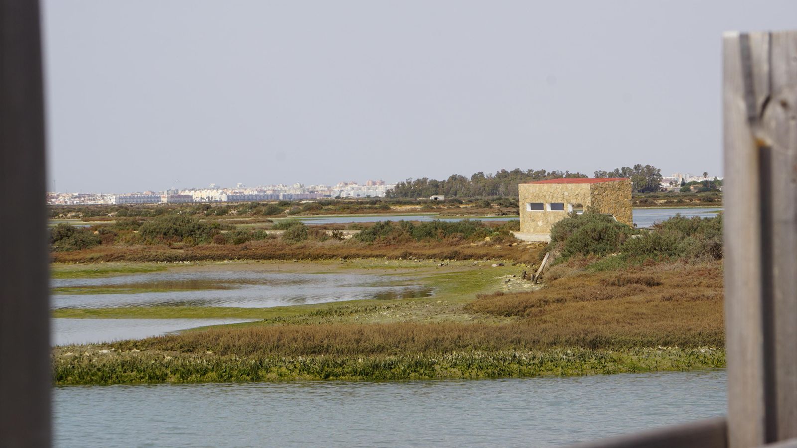 Salina de Carboneros Salina de Carboneros