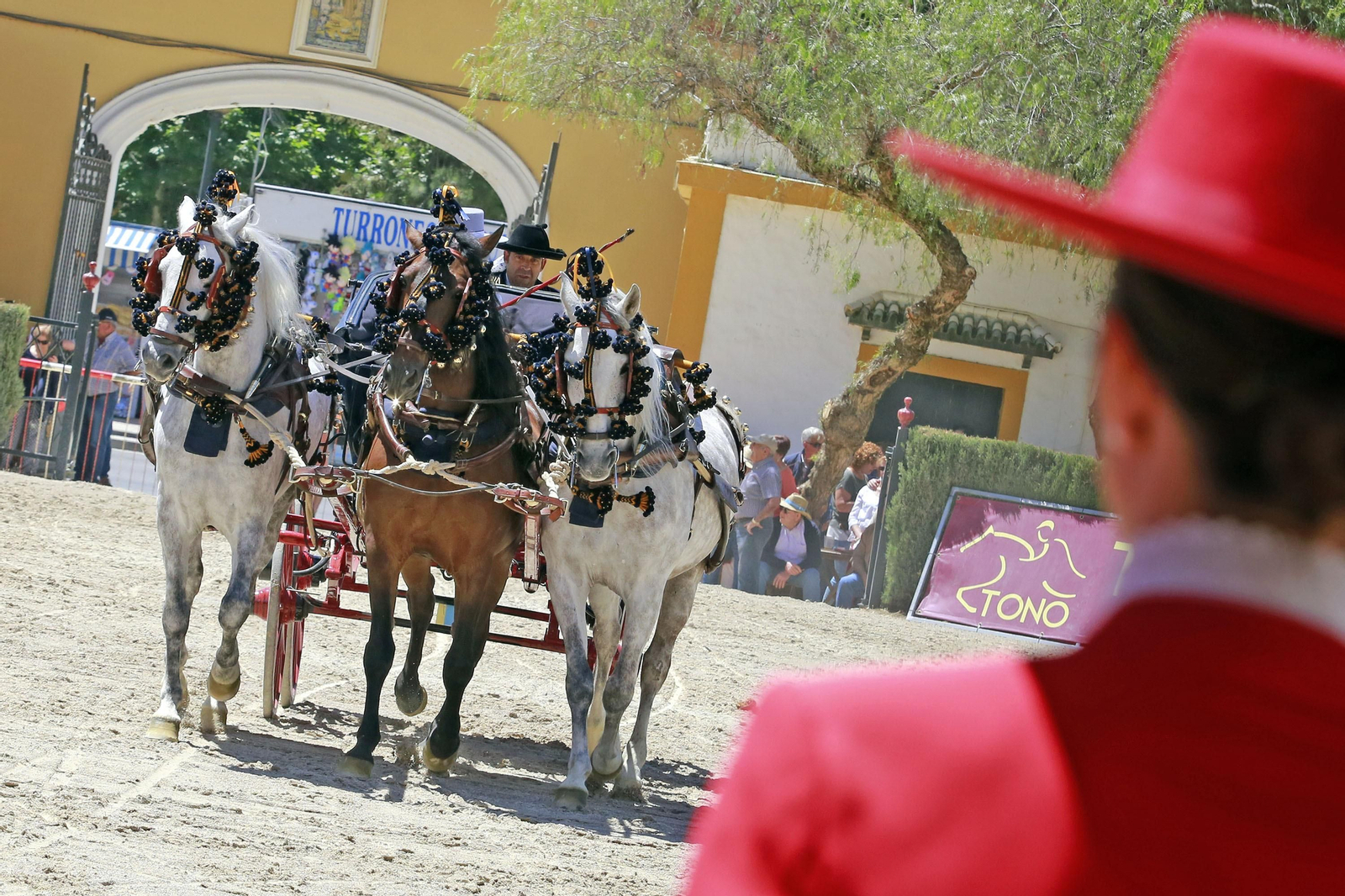 Trofeos de los concursos de Enganches y Morfológicos en la Feria de Jerez