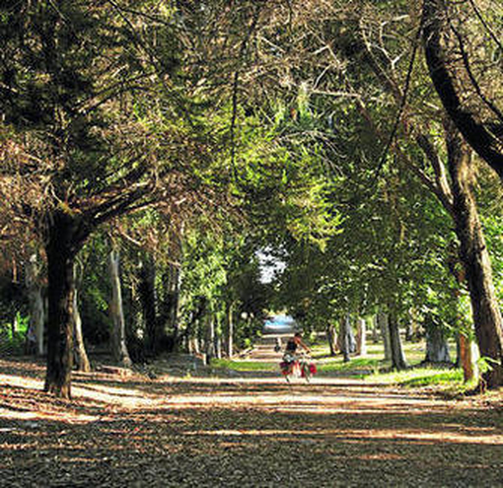 Terrenos del Campamento Benítez.