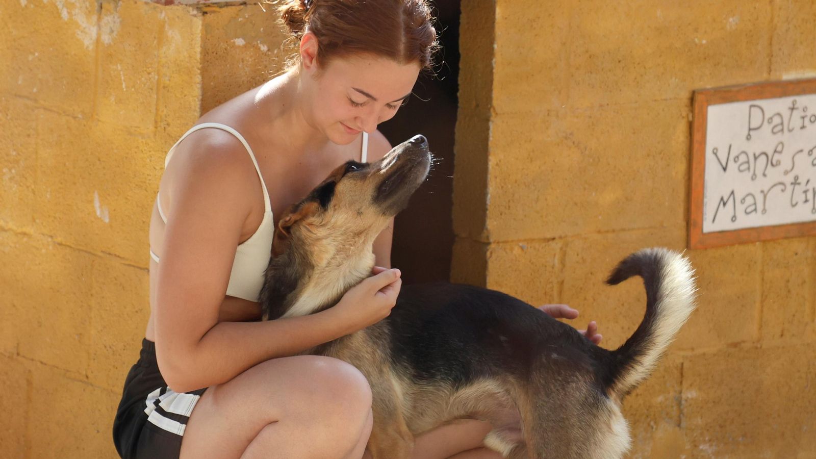 Los perros que buscan familia en la protectora de Animales de Málaga