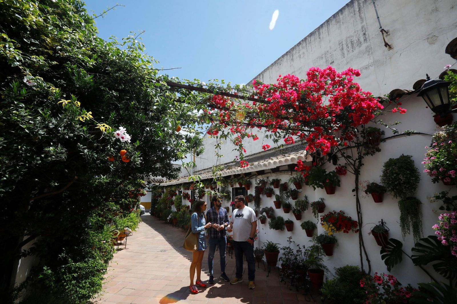Un recorrido en imágenes por los patios de la ruta Regina-Realejo