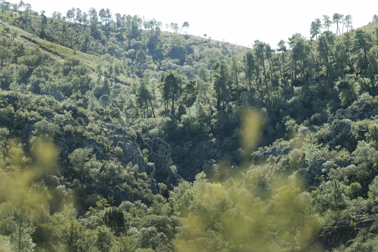 Ruta de Senderismo Charco Malo